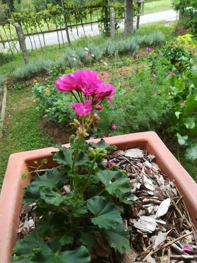 Ruralna Kuca Za Odmor Pozojova Hiza - Rural Holiday House Lopatinec 外观 照片