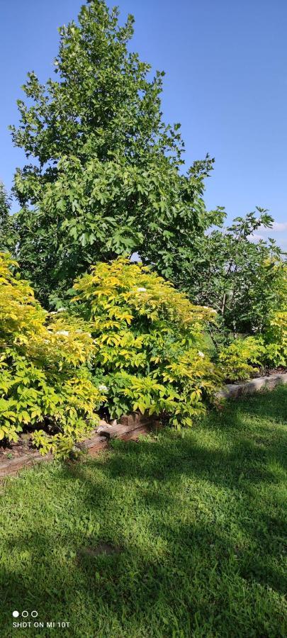 Ruralna Kuca Za Odmor Pozojova Hiza - Rural Holiday House Lopatinec 外观 照片