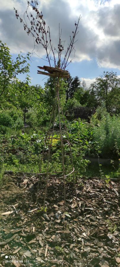 Ruralna Kuca Za Odmor Pozojova Hiza - Rural Holiday House Lopatinec 外观 照片