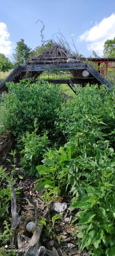 Ruralna Kuca Za Odmor Pozojova Hiza - Rural Holiday House Lopatinec 外观 照片
