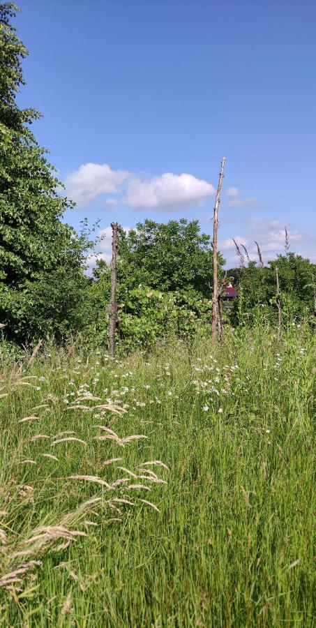 Ruralna Kuca Za Odmor Pozojova Hiza - Rural Holiday House Lopatinec 外观 照片
