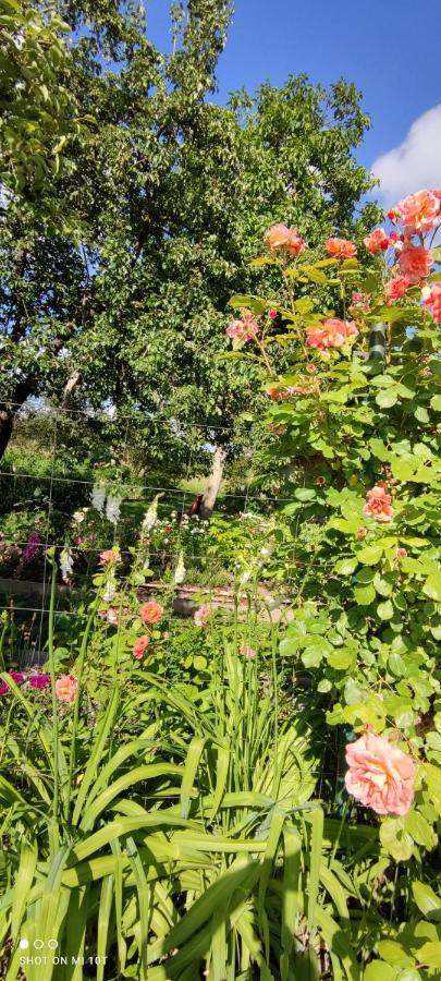 Ruralna Kuca Za Odmor Pozojova Hiza - Rural Holiday House Lopatinec 外观 照片
