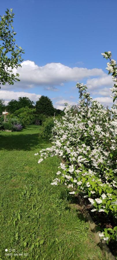 Ruralna Kuca Za Odmor Pozojova Hiza - Rural Holiday House Lopatinec 外观 照片